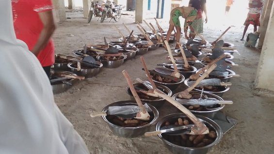 Rows of traditional clay pots with wooden ladles inside, drying on the ground.