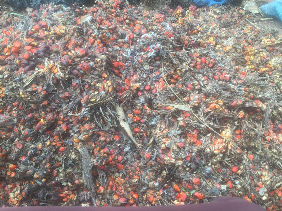 A pile of crushed red and black plastic pieces.